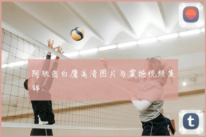 阿联酋白鹰高清图片与震撼视频集锦