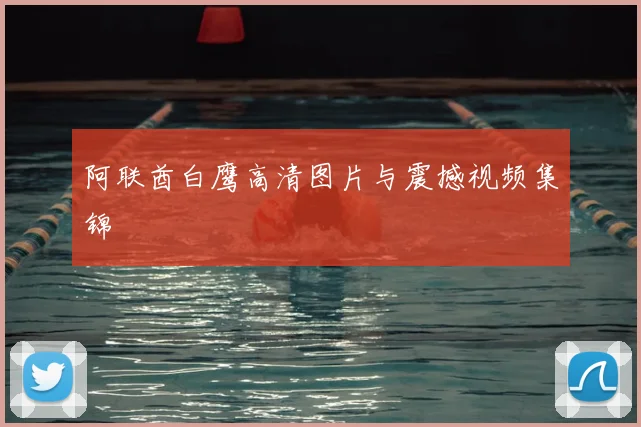 阿联酋白鹰高清图片与震撼视频集锦